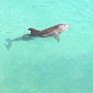 Meet your Posher, Sarah hunt